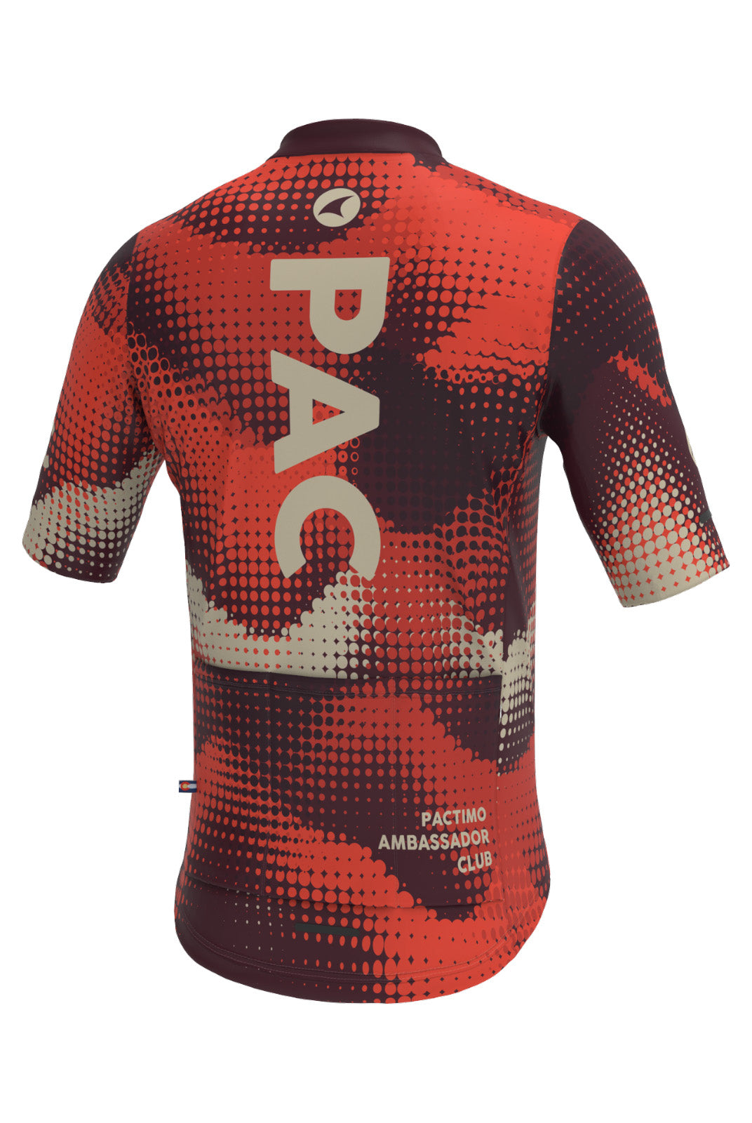 Men's PAC Ascent Cycling Jersey - Desert Paintbrush Back View