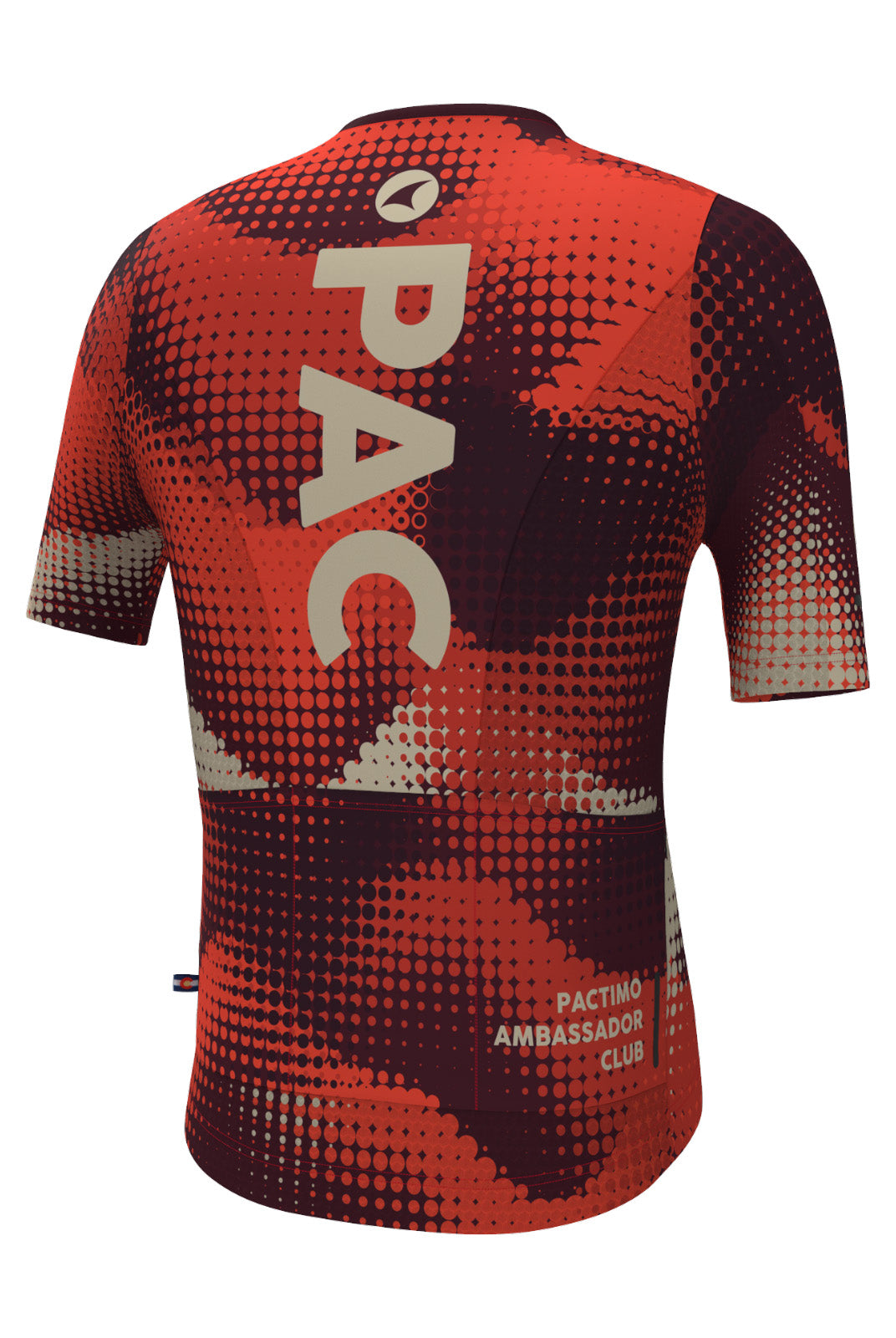 Men's Summit Cycling Jersey - Desert Paintbrush Back View