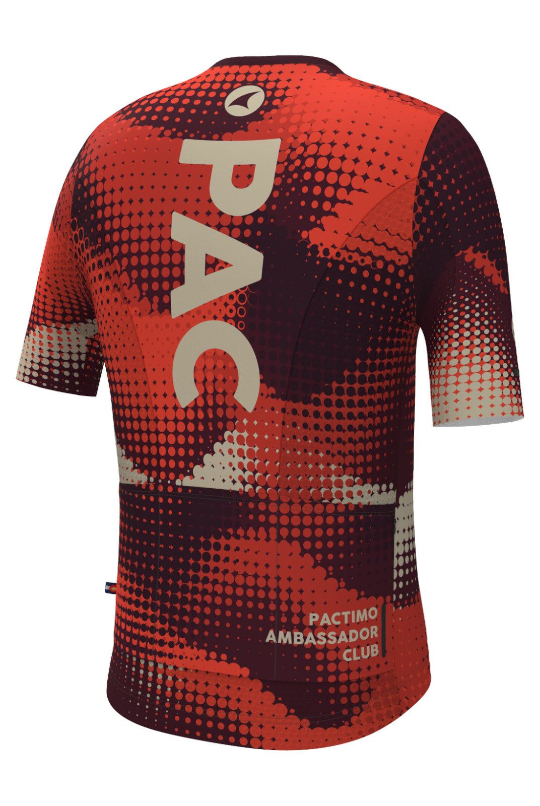 Men's PAC Summit Aero Cycling Jersey - Desert Paintbrush Back View