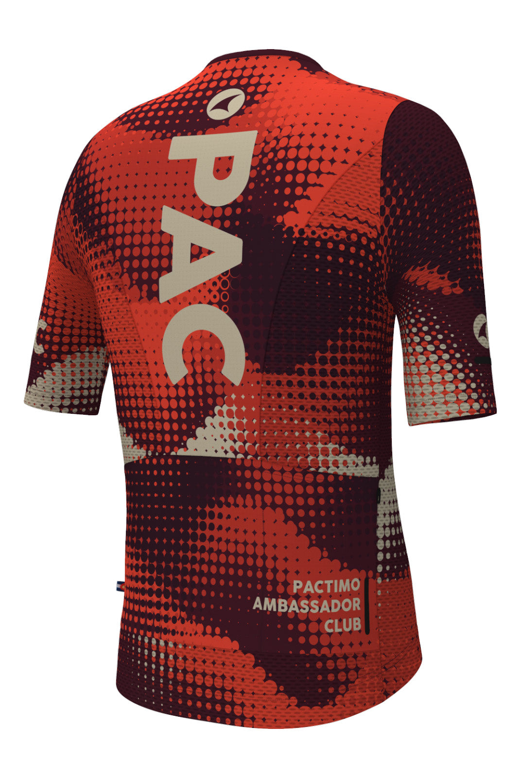 Men's Aero Mesh Cycling Jersey - Desert Paintbrush Back View