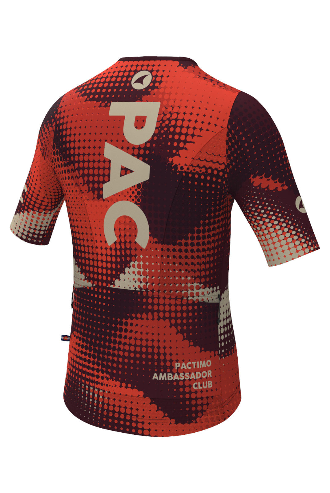 Men's PAC Aero Cargo Cycling Jersey - Desert Paintbrush Back View