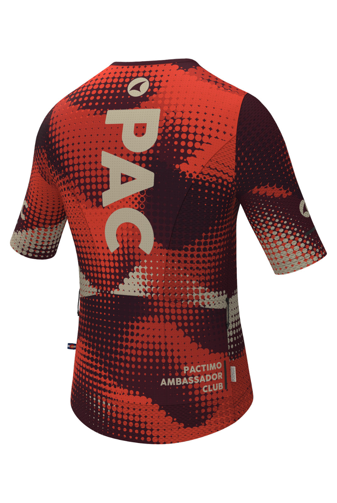 Men's PAC Aero Mesh Cargo Cycling Jersey - Desert Paintbrush Back View