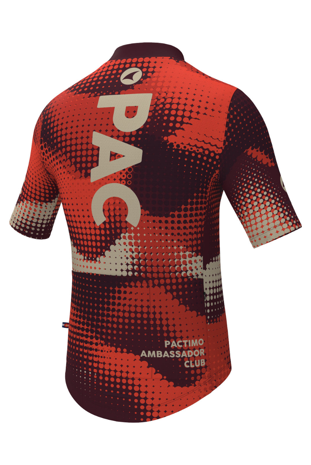 Men's PAC Ascent Aero Cycling Jersey - Desert Paintbrush Back