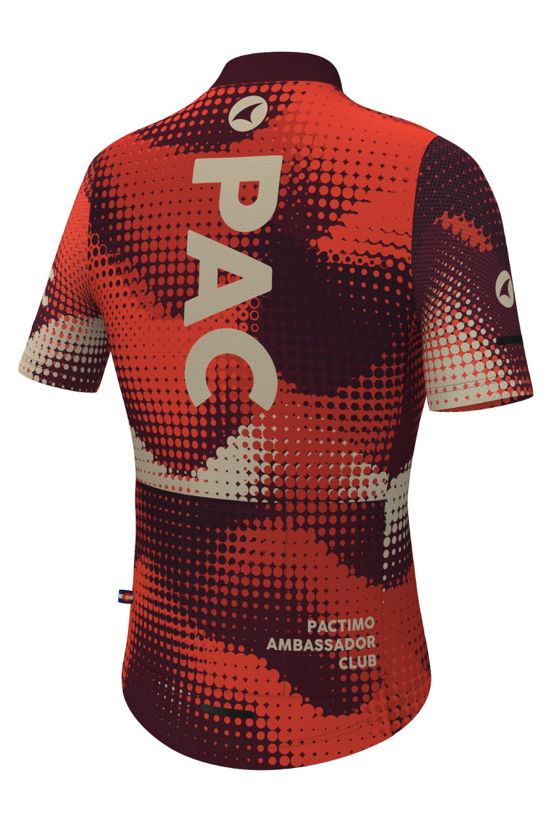 Women's PAC Ascent Cycling Jersey - Desert Paintbrush Back View