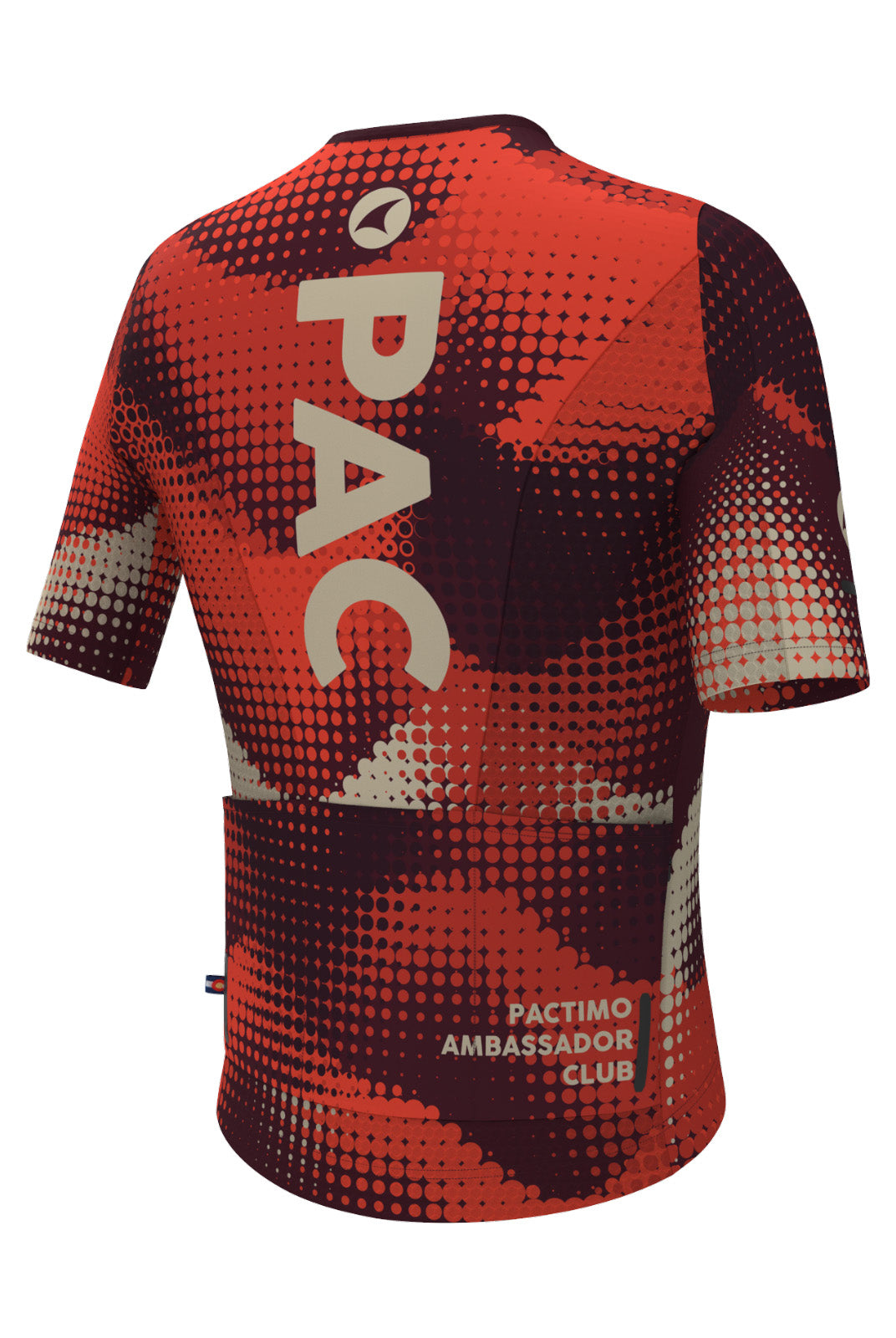 Women's PAC Summit Cycling Jersey - Desert Paintbrush Back View