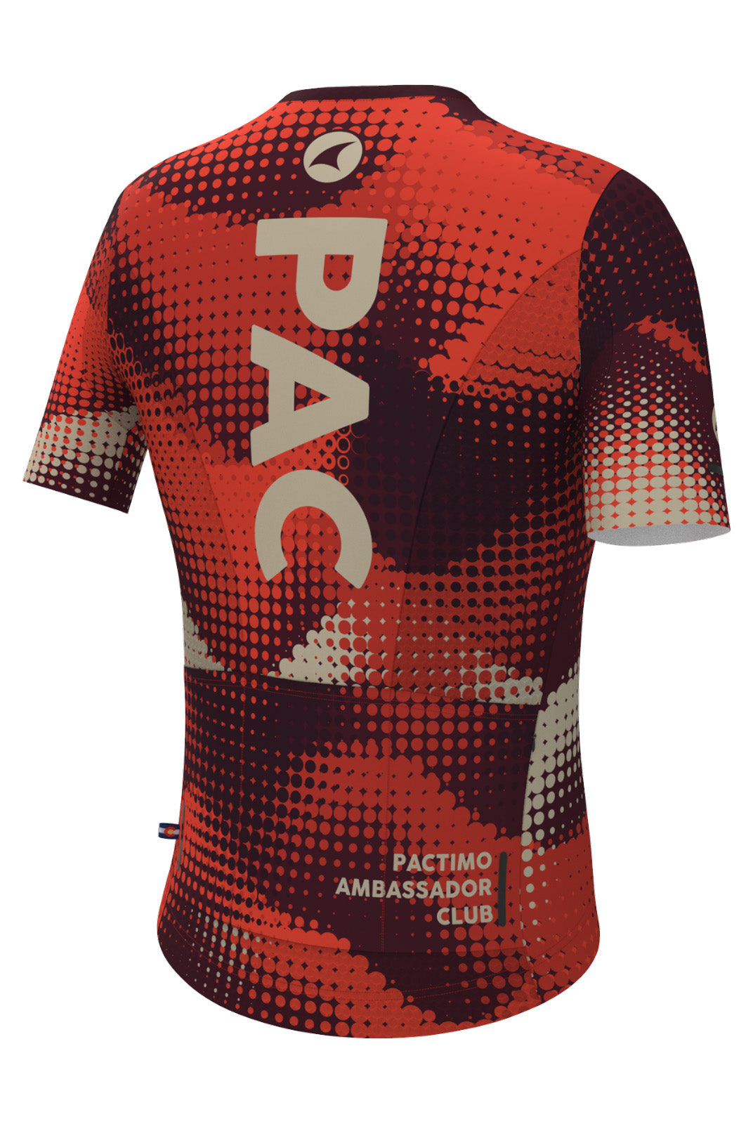 Women's PAC Summit Aero Cycling Jersey - Desert Paintbrush Back View