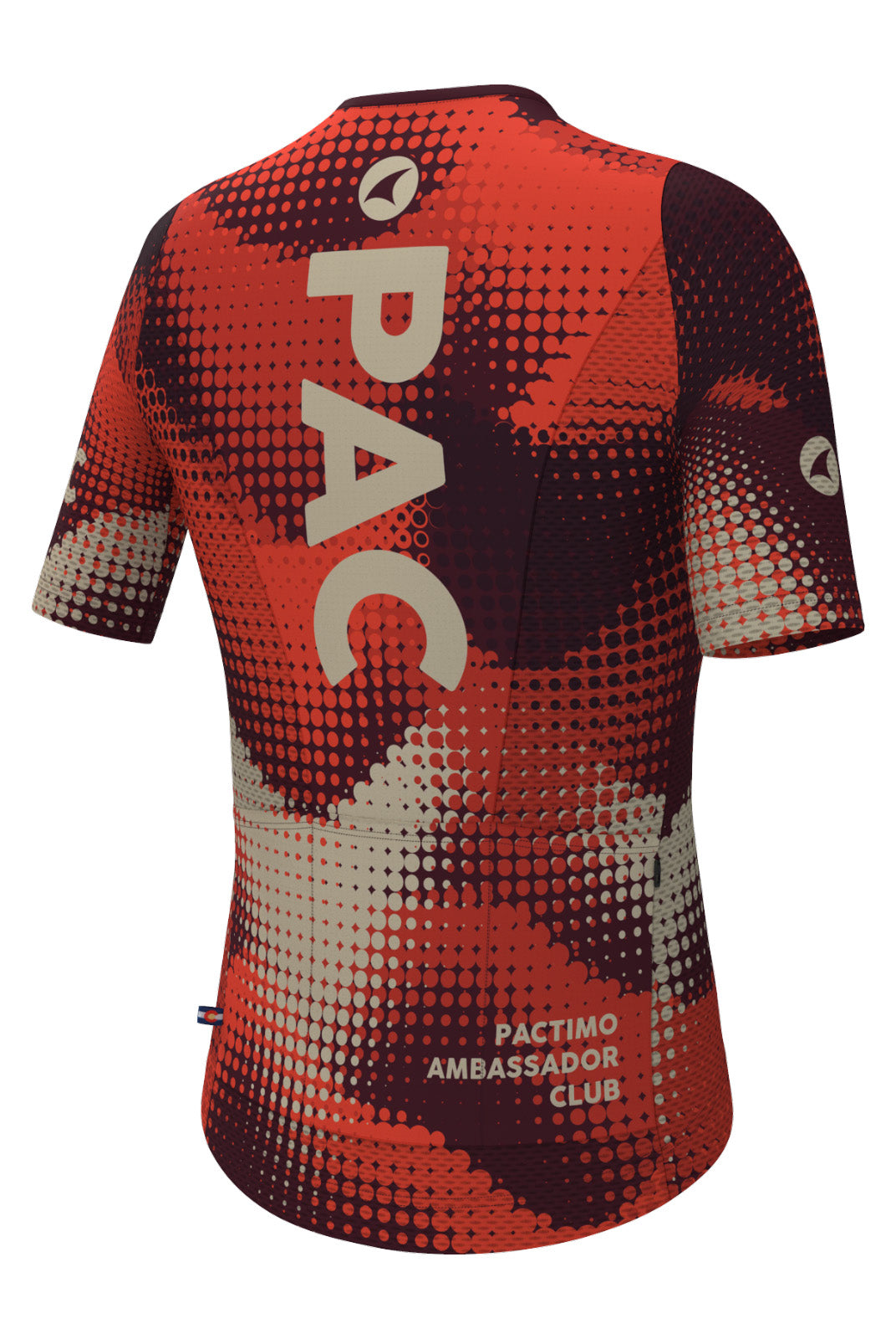 Women's PAC Mesh Aero Cycling Jersey - Desert Paintbrush Back View