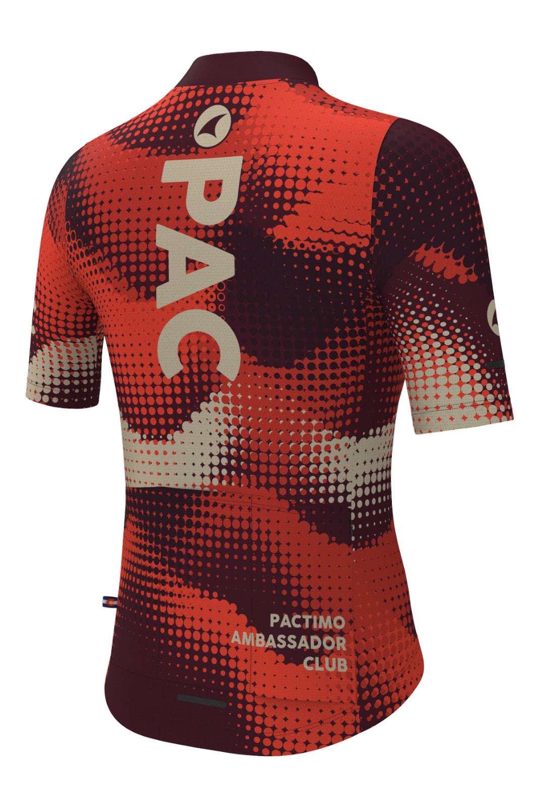 Women's PAC Ascent Aero Cycling Jersey - Desert Paintbrush Back View