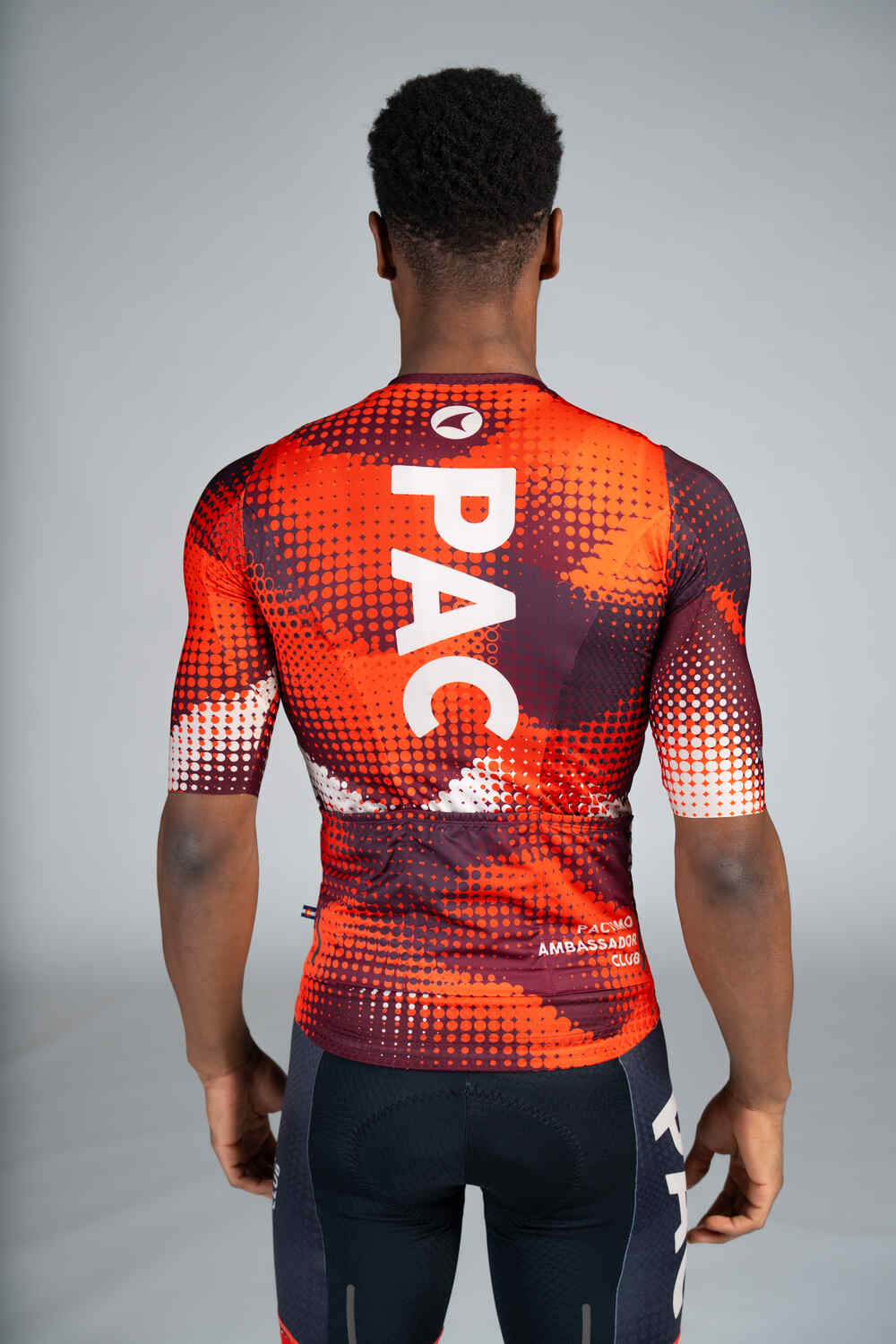 Men's PAC Summit Aero Jersey - Desert Painbrush Back View